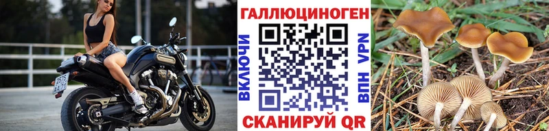 blacksprut ТОР  дарнет шоп  площадка состав  Псилоцибиновые грибы мицелий  Безенчук 